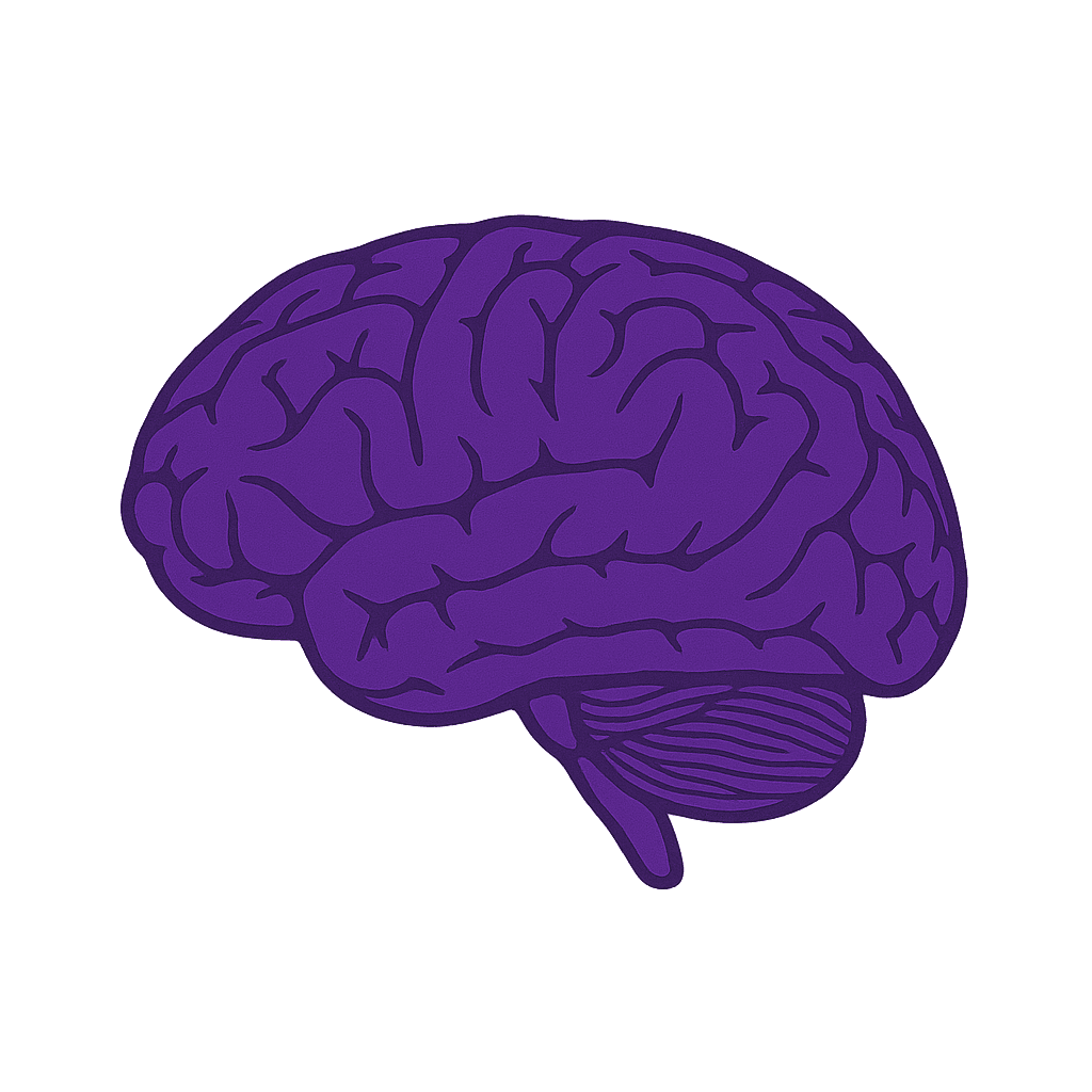 Brain Research Visualization